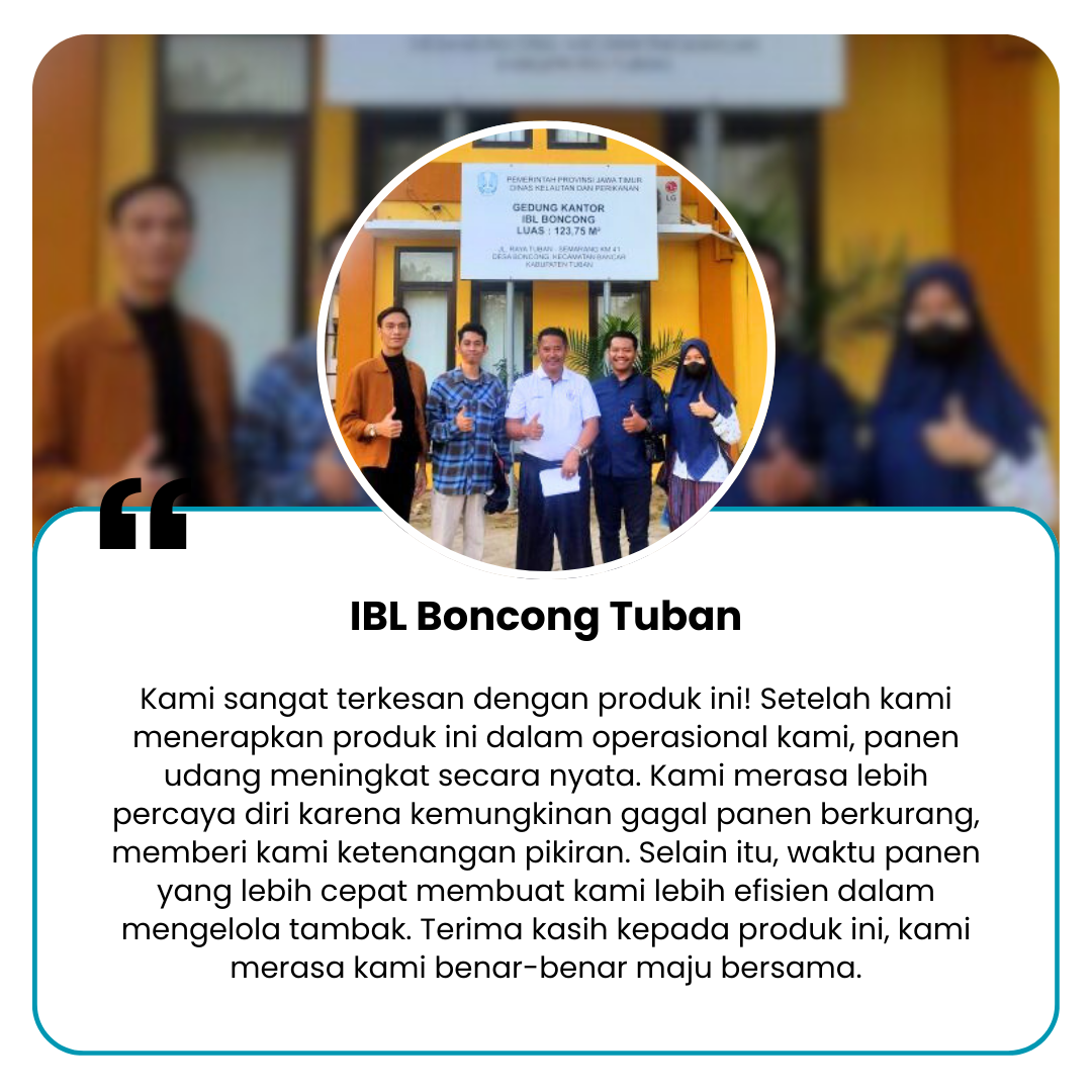 IBL Boncong